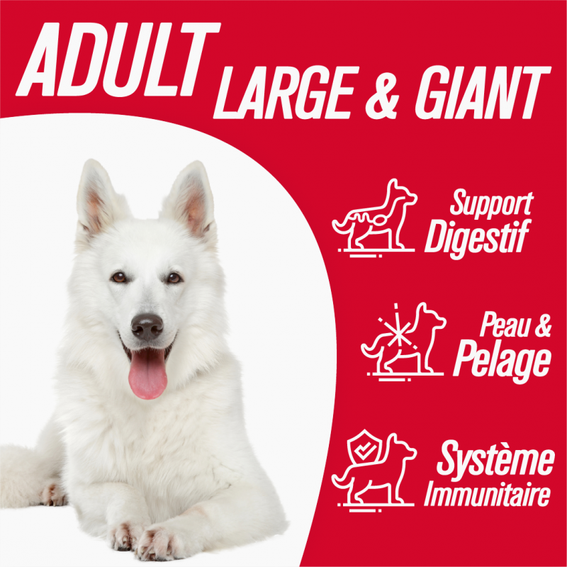 Iso-dog - ADULT Large CHICKEN