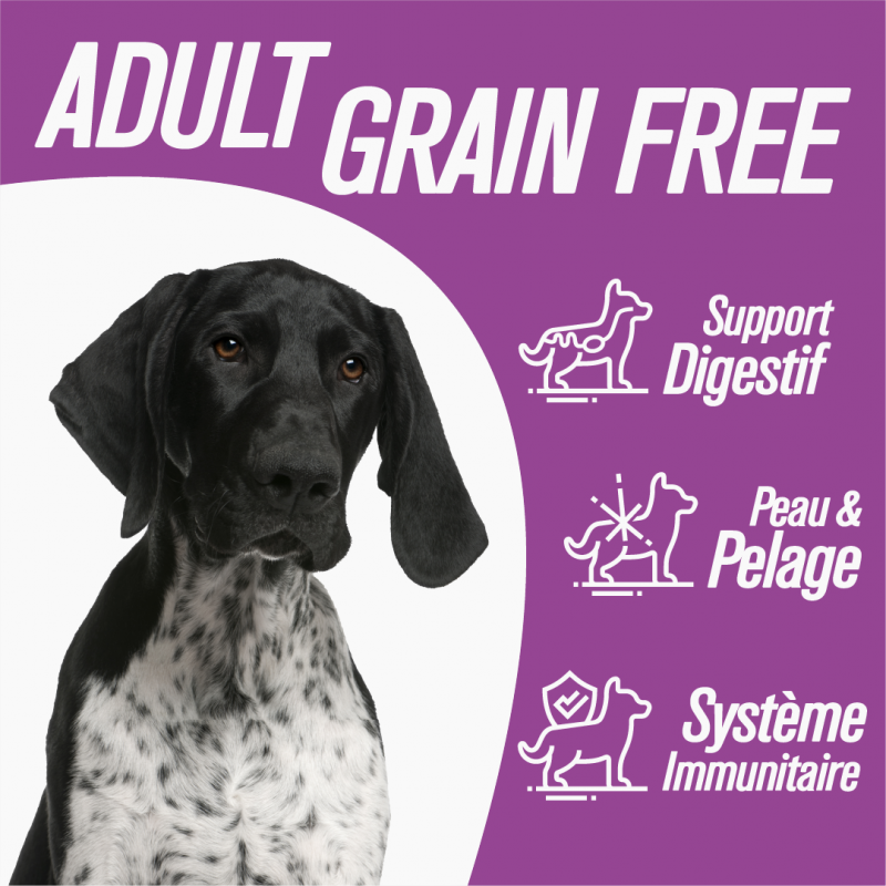 Iso-dog - ADULT GRAIN FREE Medium / Large Rabbit & Potato