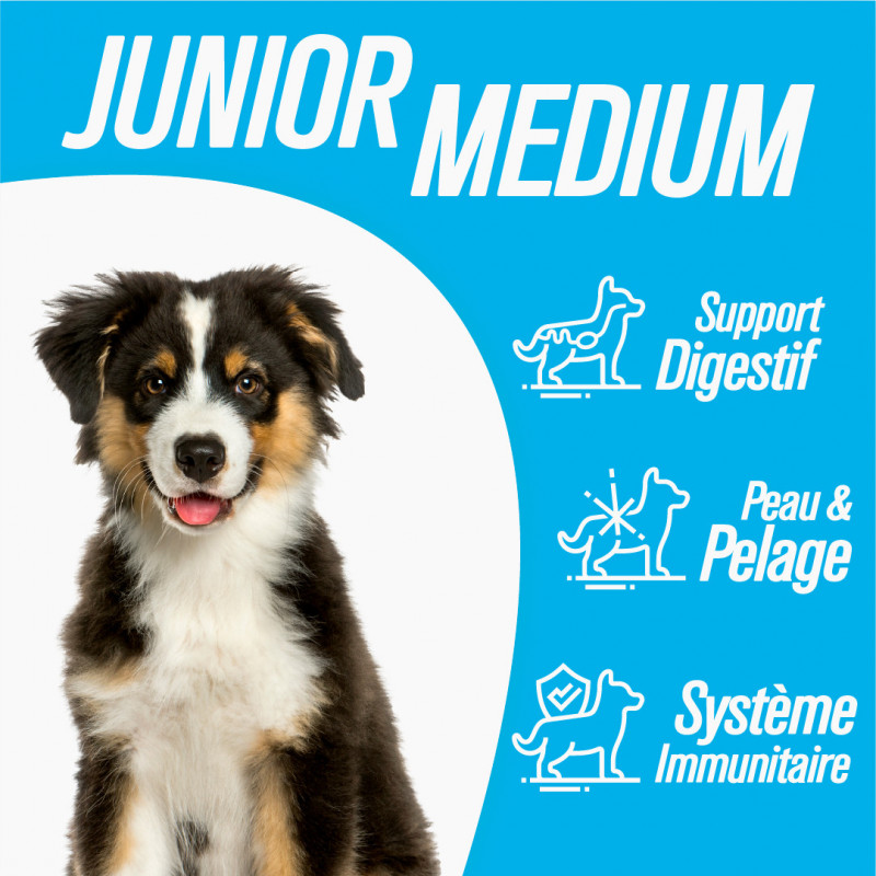 Iso-dog Essential - JUNIOR MEDIUM - Pack de 2 x 14 KG