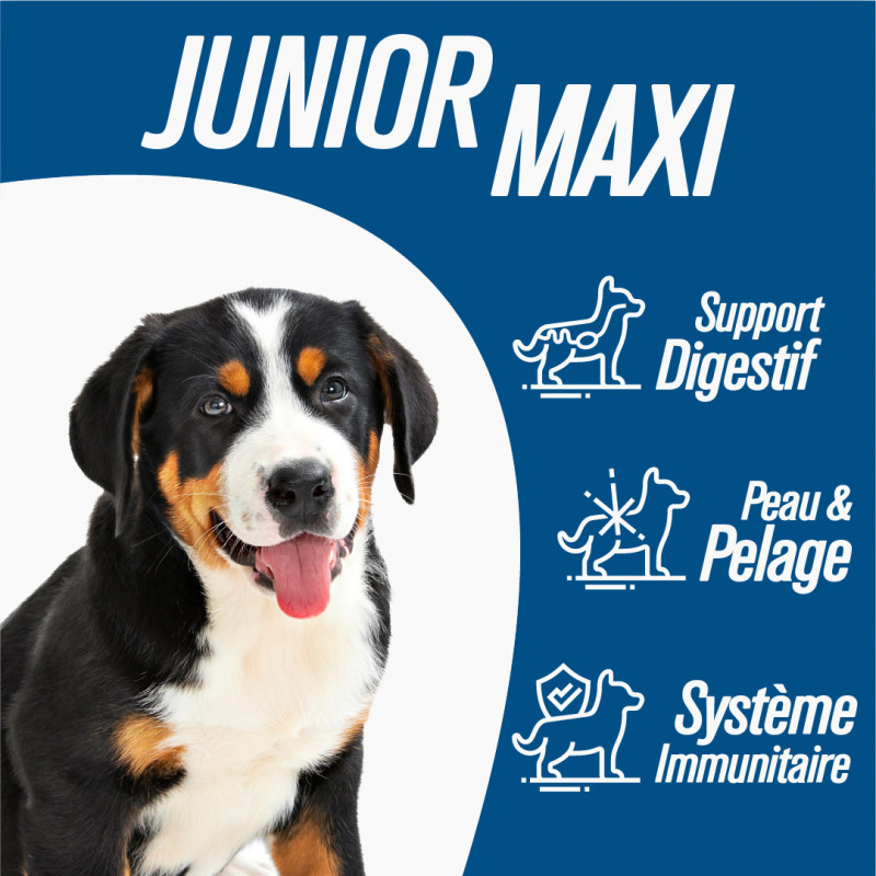 Iso-dog Essential - JUNIOR MAXI - Pack de 2 x 14 KG