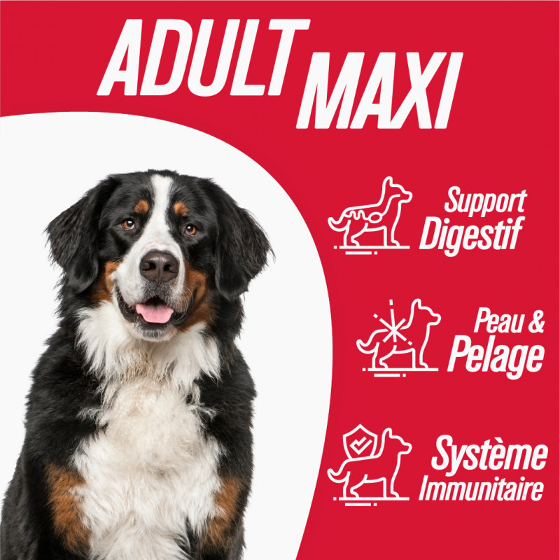 Iso-dog Essential - ADULT MAXI - Pack de 2X14 KG