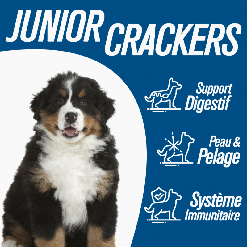 Iso-dog - JUNIOR Large CHICKEN - Pack de 2X12 KG