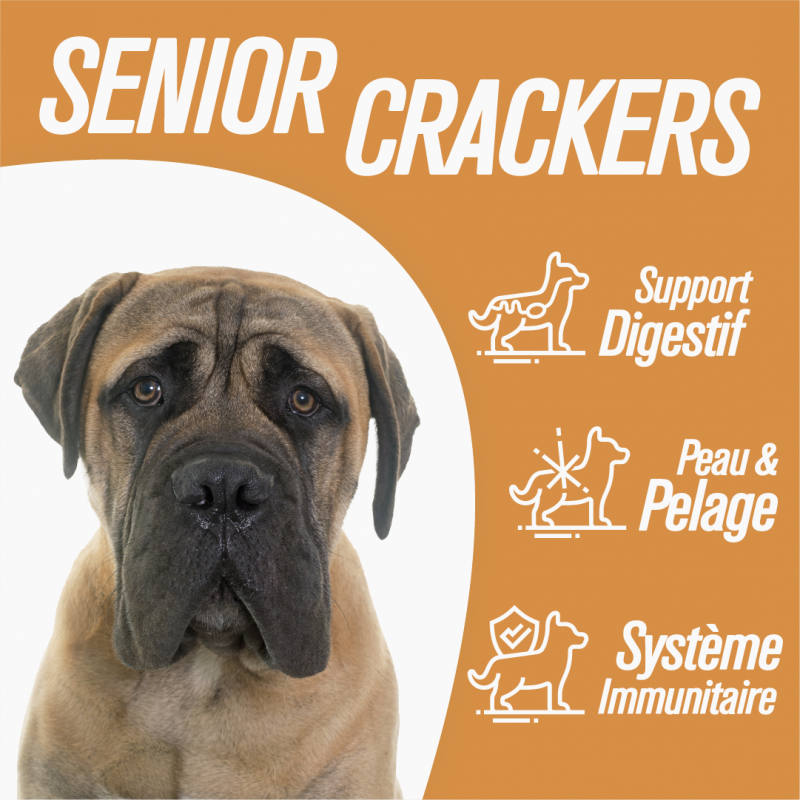 Iso-dog  - SENIOR Medium / Large CHICKEN - Pack de 2X12 KG