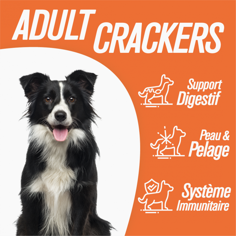 Iso-dog  - ADULT Medium CHICKEN - Pack de 2X12 KG