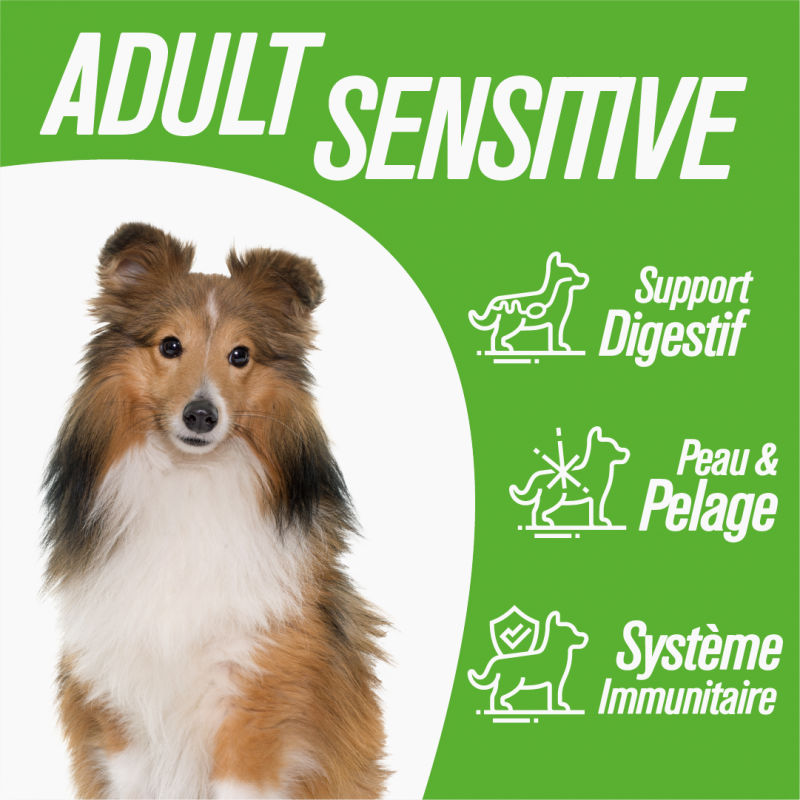 Iso-dog - ADULT Medium / Large SENSITIVE Lamb & Rice - Lot de 2X12 KG