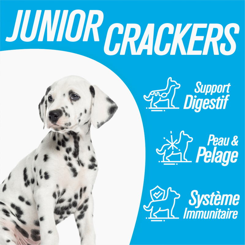 Iso-dog  - JUNIOR Medium CHICKEN - Pack de 2X12 KG