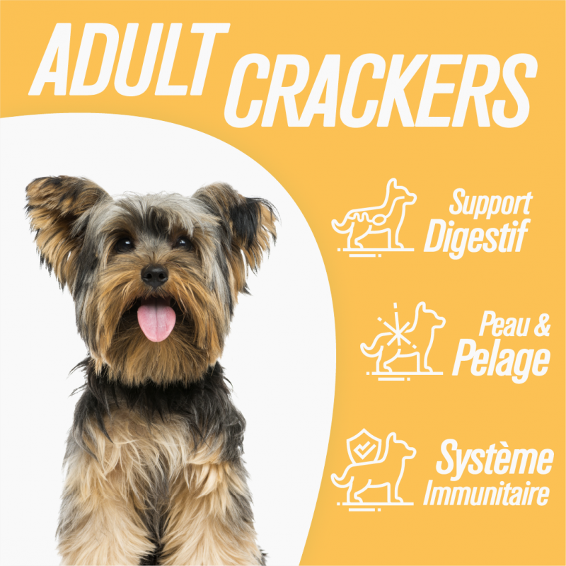 Iso-dog - ADULT Mini SENSITIVE Turkey & Rice - Pack de 2X3 KG