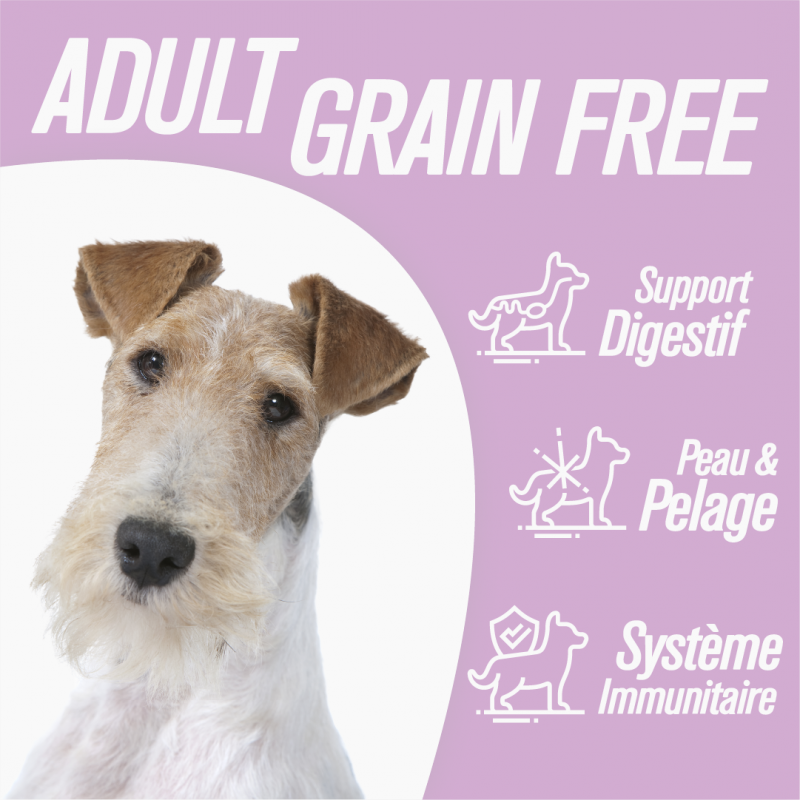 Iso-dog - ADULT Mini GRAIN FREE Rabbit & Potato - Pack de 2X3 KG